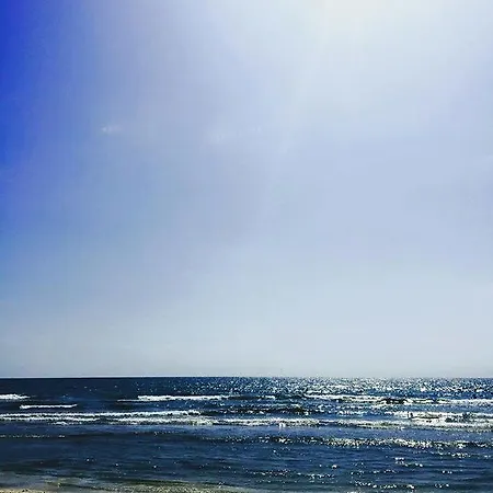 Colonia Butoaie - Barrels By The Sea